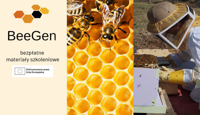 Beekeepers generation bridging - bezpłatne materiały szkoleniowe