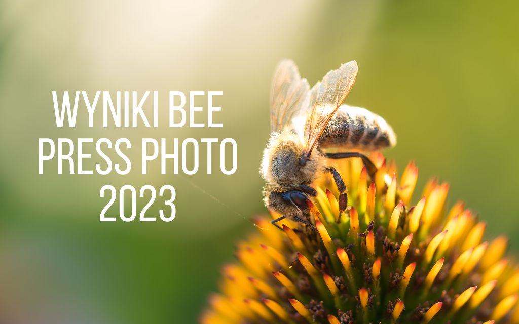 Bee press photo 2023
