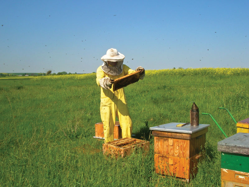 Przy złośliwych pszczołach taki kosmiczny ubiór jest konieczny. Dzisiaj jednak selekcję pszczoły prowadzi się w kierunku łagodności, co poprawia nie tylko komfort pracy, ale i zbędność takiego ubioru.