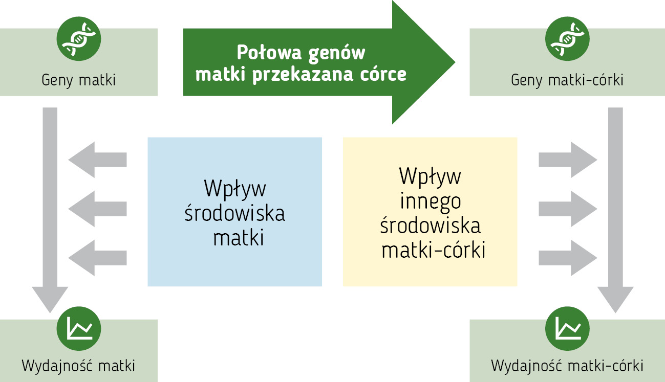 pasieka24.pl - Pszczelarskie fakty i mity