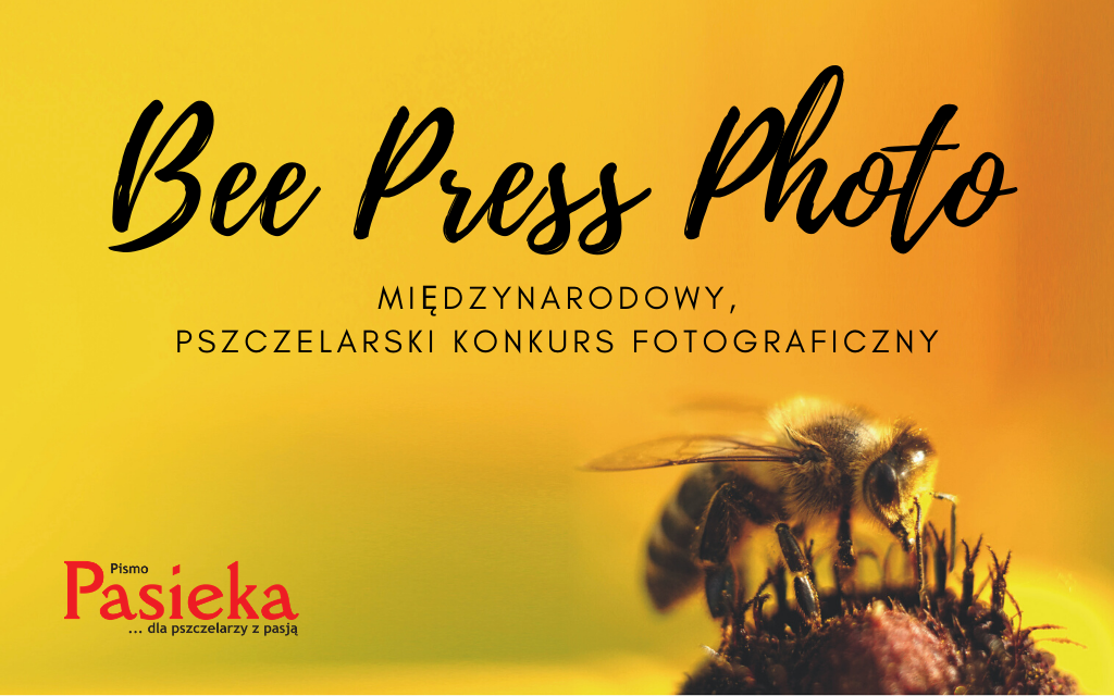 Bee Press Photo