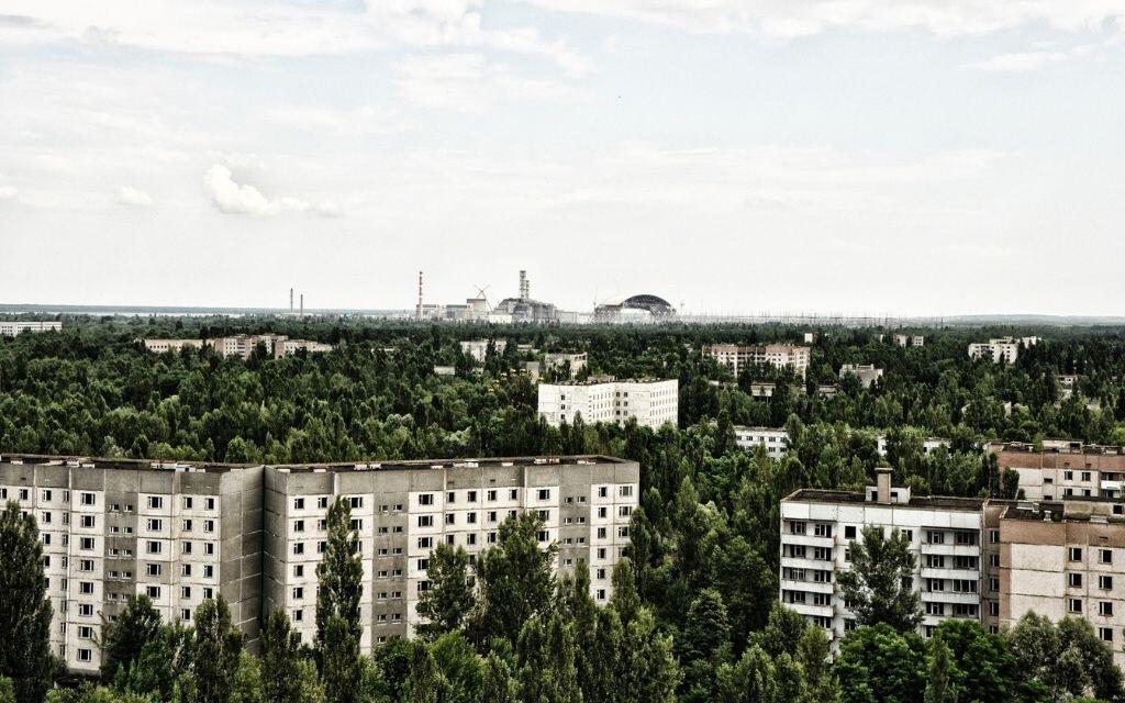 Czarnobyl trzmiele