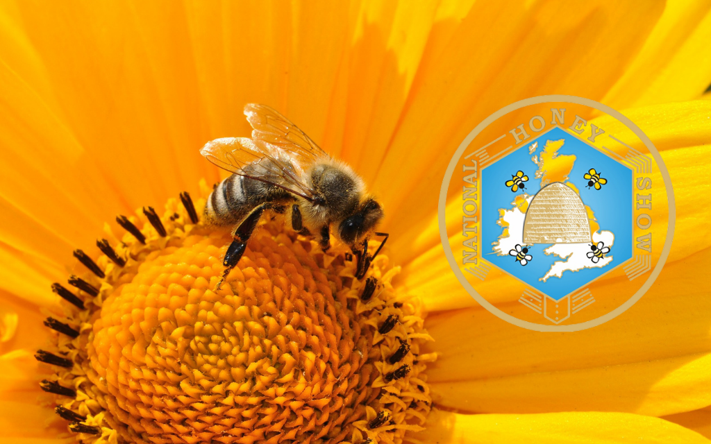 National Bee Day