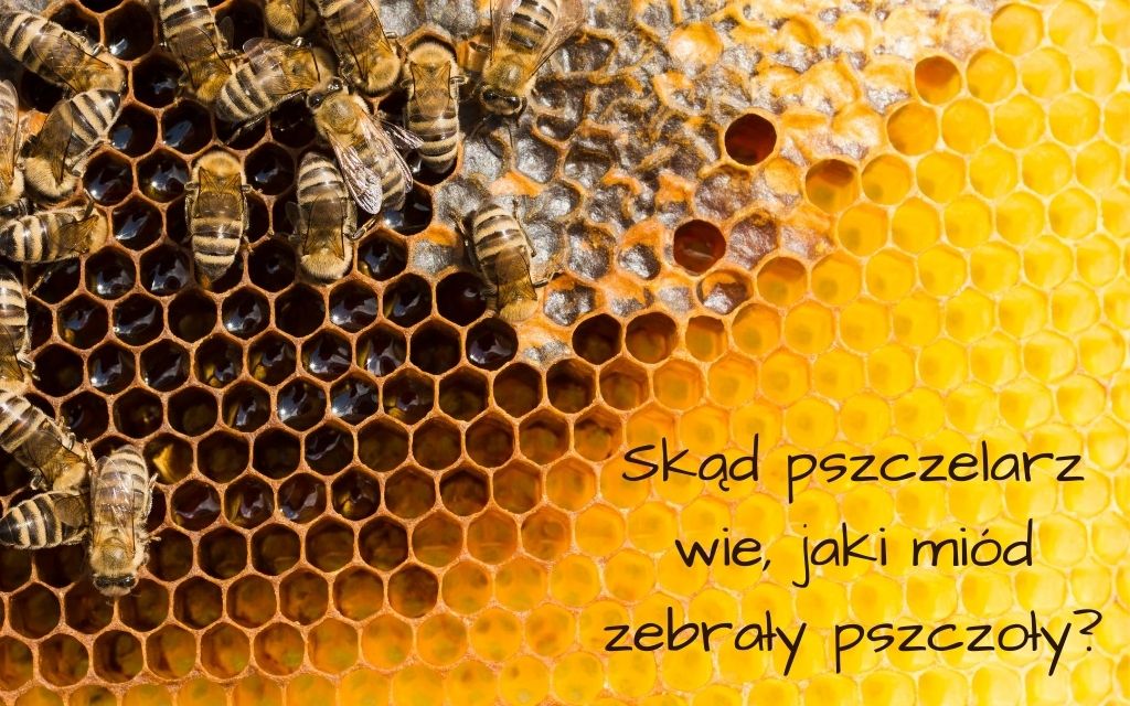 Skad pszczelarz wie