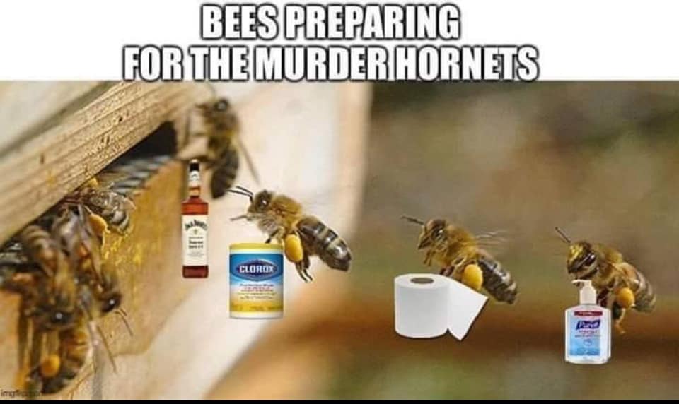 pszczoly przygotowanie