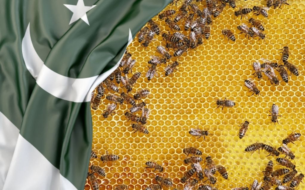 Flaga Pakistanu pszczoly
