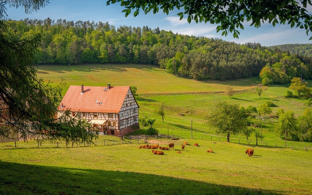 Niemiecka piękna wieś z murem pruskim