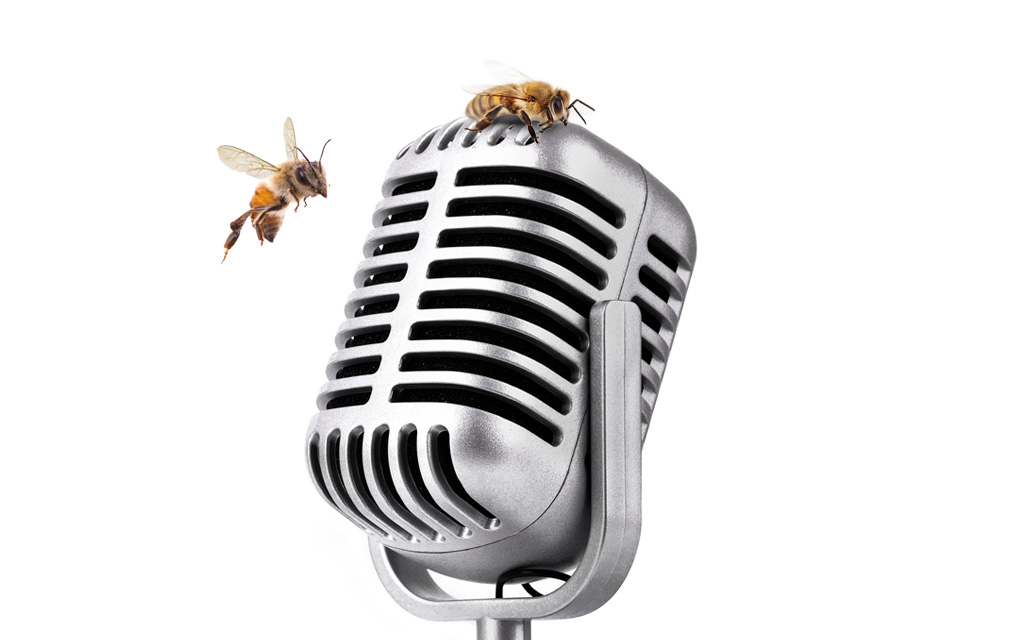 pszczoly mikrofon