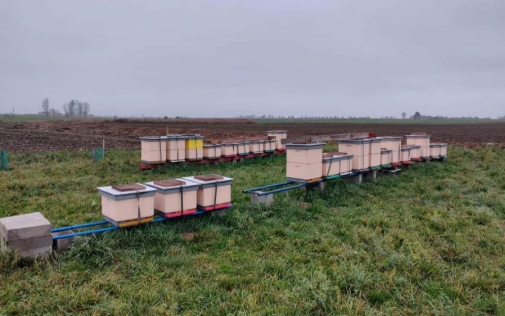 Malenin – skradziono rodziny pszczele