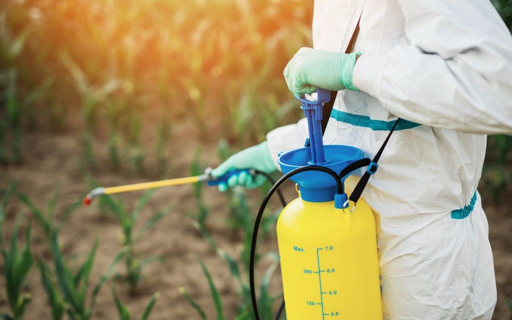 Trujący wiatr – czyli o dryfcie pestycydów