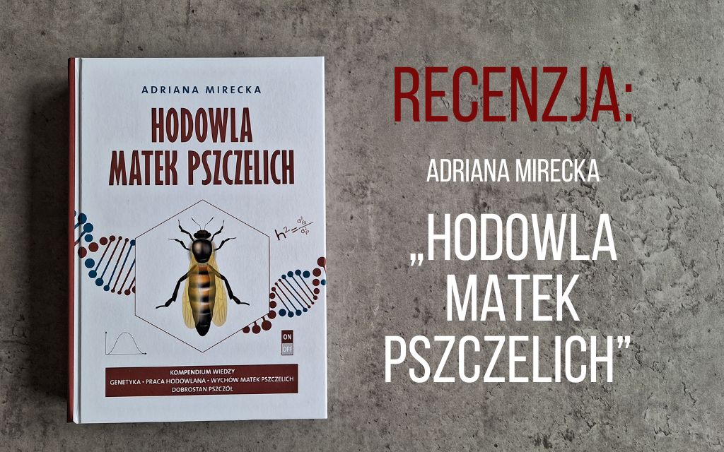 „Hodowla matek pszczelich” Adriany Mireckiej – recenzja