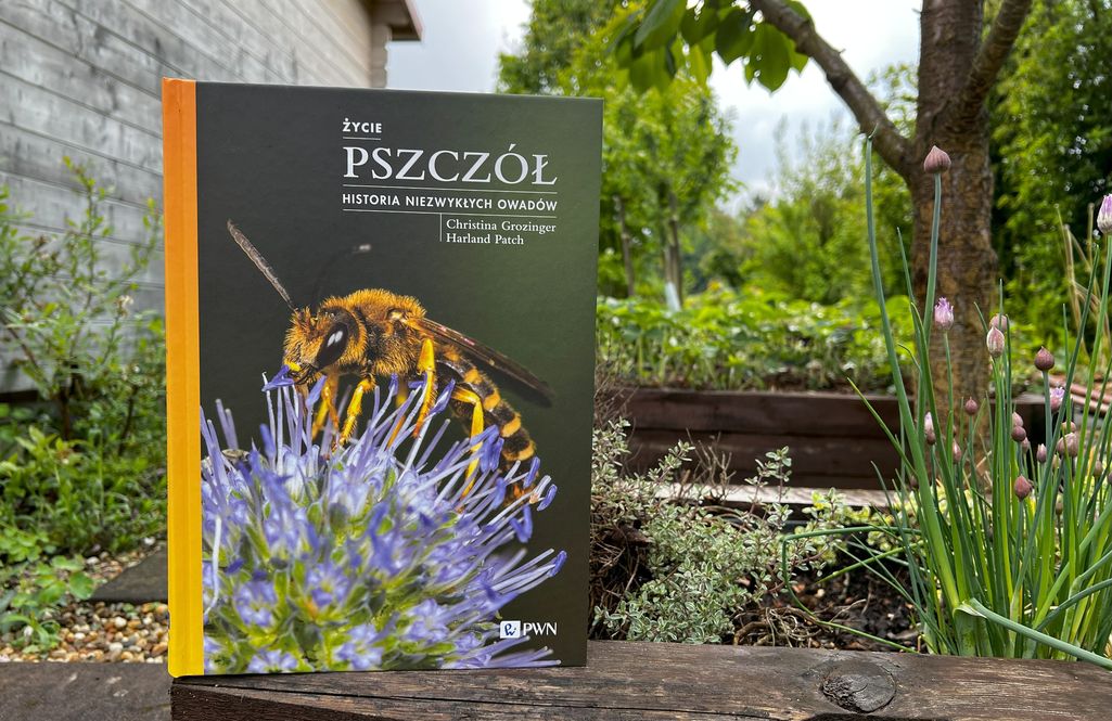 Recenzja książki „Życie pszczół. Historia niezwykłych owadów”