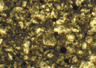 Struktura miodu kremowego uzyskana po całkowitym zalaniu ślimaka miodem płynnym