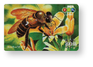 Karty telefoniczne z motywem pszczelarskim