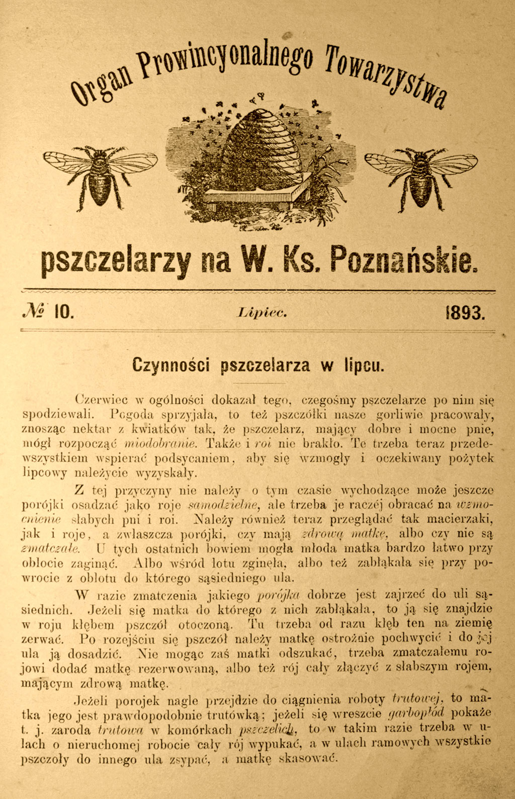 Pasieka nr 81 (czasopisma_2-Organ-Prowincjonalny-1893-nr-10-lipiec-IMG_1858.jpg)