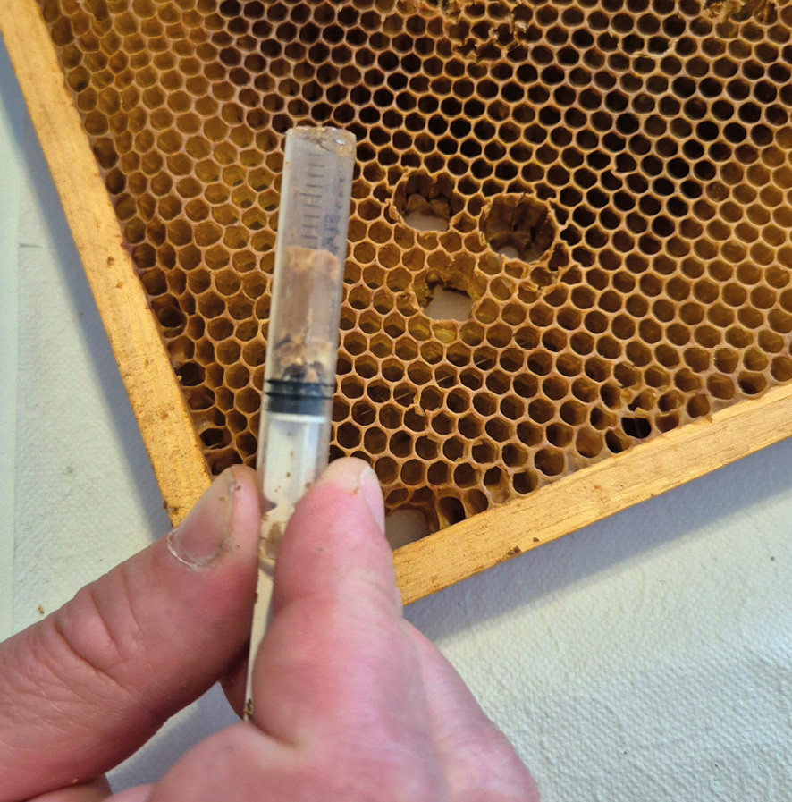 Symulacja wycinania komórek