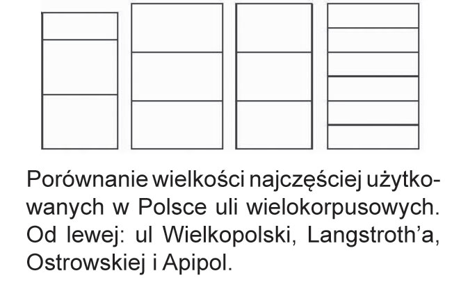 Porównanie wielkości najczęściej użytkowanych w Polsce uli wielokorpusowych. Od lewej: ul Wielkopolski, Langstroth’a, Ostrowskiej i Apipol