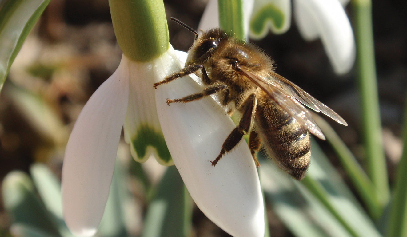 K2000 - Jak prowadzic ekoogród