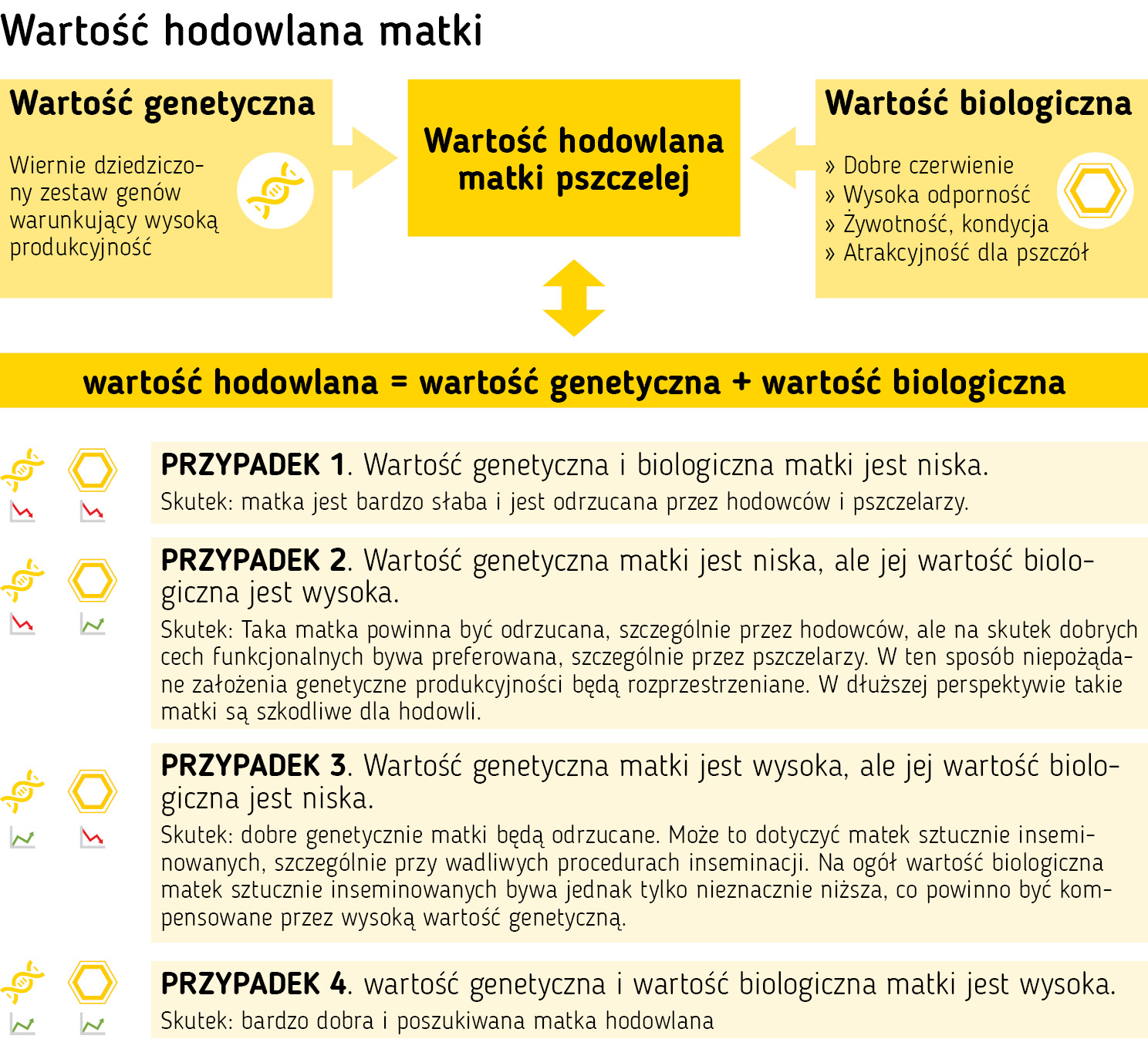 pasieka24.pl - Pszczelarskie fakty i mity