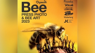 Bee Press Photo 2023
