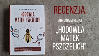 „Hodowla matek pszczelich” Adriany Mireckiej – recenzja