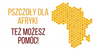 Pszczoły dla Afryki