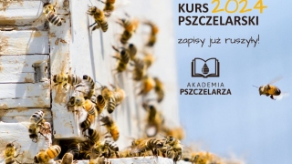 Myślisz o kursie pszczelarskim? Idź do Akademii Pszczelarza!
