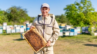 Wydłużono składanie wniosków w dwóch interwencjach pszczelarskich