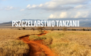 Słów kilka o pszczelarstwie Tanzanii